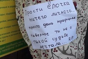 Собрались выкидывать елку? Остановитесь! Здесь собраны неплохие идеи
