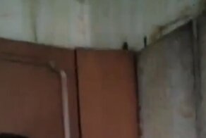 Тараканье государство за кухонным шкафом