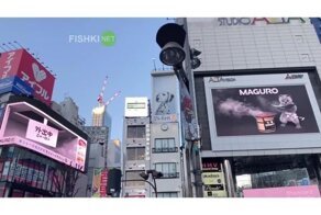 Реклама в Японии выходит на новый уровень