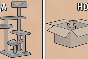 "Да, но": саркастичные комиксы о нашем противоречивом мире