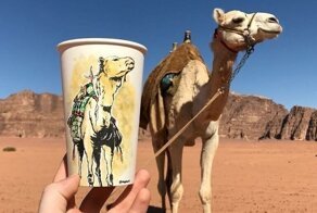 Вокруг света с помощью стакана: 25 иллюстраций художника-путешественника