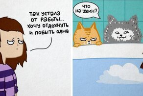 17 забавнейших комиксов от хозяйки 4 котов