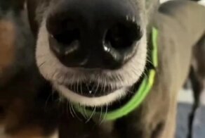 В предвкушении прогулки на морозе