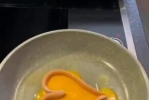 Завтрак, приготовленный с любовью