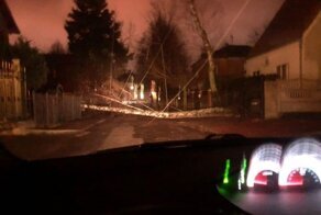 Калининград накрыло циклоном «Эльза»