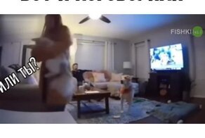 Неожиданное окончание разговора