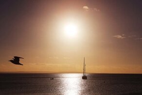 Семья из Новосибирска, завершив морскую кругосветку, продолжает движение к родным берегам