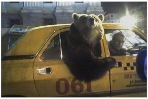 20 фото, на которых вы увидите всю нашу действительность, без прикрас
