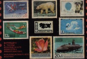 Самые дорогие, пахучие и вкусные: чего вы могли не знать о марках