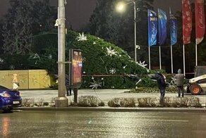 Главная ёлка Ростова-на-Дону красиво намекнула на завершение праздников