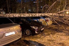 Ураган серьёзно потрепал Ставропольский край