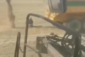 Шутка над очень занятым рабочим