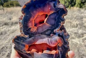 18 раз, когда природа показала людям, кто здесь главный