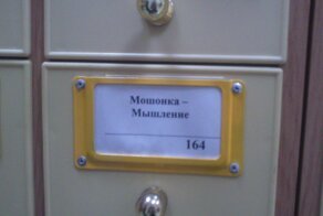 Подслушано в библиотеке: убойный пост о том, что на самом деле происходит в "домах знаний"