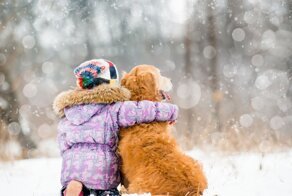 Пёс спас маленькую девочку во время снежной бури на Сахалине