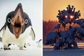 17 фотографий, вещи на которых выглядят пугающе