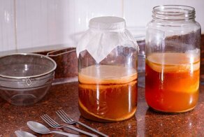 Как чайный гриб стал главным советским суперфудом?