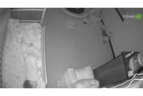 Человек паук: начало