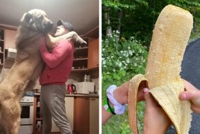 Вещи, которые оказались настолько огромными, что этот мир им явно маловат