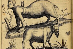 Человеческие мутации в средневековой книге «Де Монстрис»