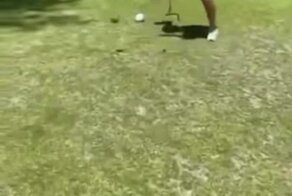 Наследства внучку не видать