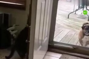 Вы кто такие? Я вас не звал