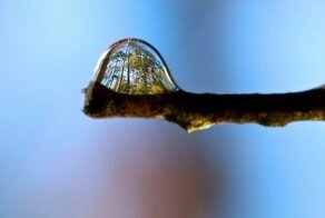 30 случайных, удивительных и забавных отражений