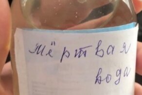 Врач-терапевт из Хакасии советовал пациентам с ковидом лечиться кабачками и "мёртвой водой"