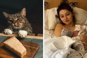 15 фотографий, которые могли бы быть обычными, но случай превратил их в шедевральные снимки