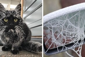 Зима — это умелый художник, который создаёт свои лучшие шедевры