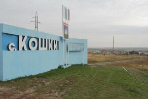 Где располагается самое кошачье село России