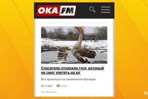 В 2021 году журналисты жгли сильнее пожаров