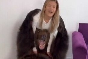 Тиктокерша в подарок годовалому сыну привела домой огромного медведя и попала под проверку