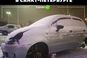 Подборка автоприколов в картинках
