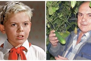 Как сегодня выглядит и чем занимается знаменитый Волька из "Старика Хоттабыча"