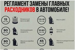 20 важных регламентов и сроков, из которых вы узнаете, что уже пора менять в этой жизни