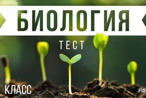 Сложный тест по биологии за 10 класс