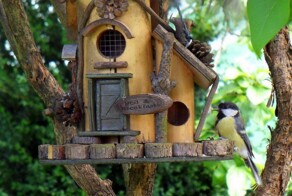 Кормушки и скворечники