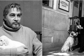 Пес, который сыграл Бима, повторил его судьбу