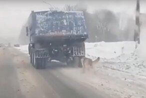 В сети появилось видео собаки, привязанной цепью к грузовику, взволновавшее зоозащитников