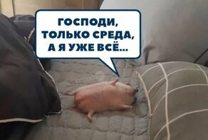 Когда выгорание подкралось незаметно: с юмором о модном нынче термине