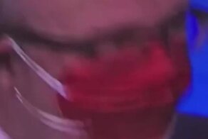 Утиные истории