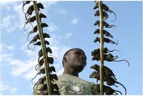 Кулинарные хроники Африки: место, где едят всё