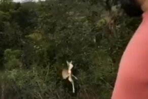 Впечатляющий прыжок