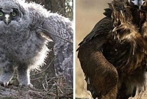 15 увлекательных фотографий, которые запомнятся надолго