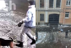 В Петербурге рухнувший с крыши кусок льда убил собаку на глазах у ее юной хозяйки