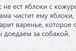 Владельцы животных делятся случаями, из которых становится ясно, кто хозяин в их доме