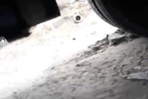 Видно крепко спал