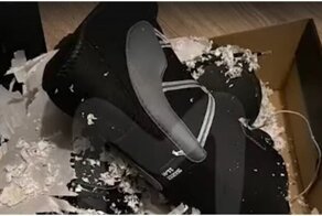 Семье пришла посылка с сюрпризом