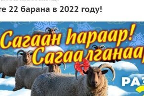 Торговая сеть в Улан-Удэ разыгрывает среди покупателей 22 живых барана